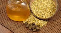 Пчелиный прополис и его лечебные свойства