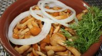Маринование грибов различными способами
