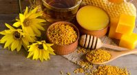 Целебные продукты пчеловодства и пчелы в апитерапии