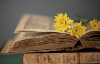 Самые интересные книжные премьеры в июле 2021 года