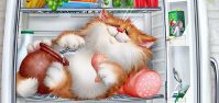 История про кота: Как кот отправился в полет