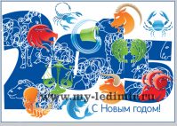Советы гороскопа на новый 2020 год. Часть 1
