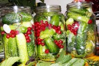 Консервирование огурцов горячей заливкой с красной смородиной