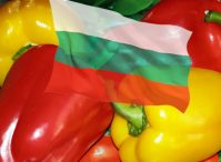 Болгарская диета: как похудеть без стресса