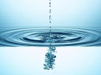 Какова роль воды в организме человека